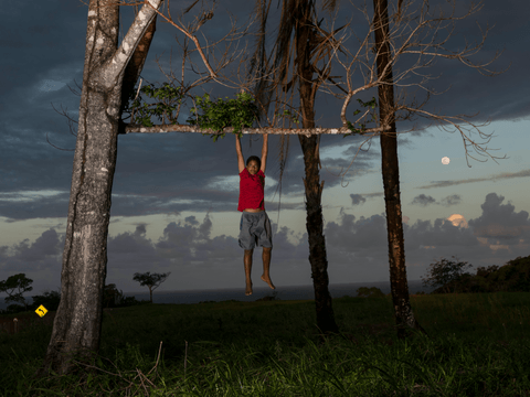 Caio climbs a tree near his house.