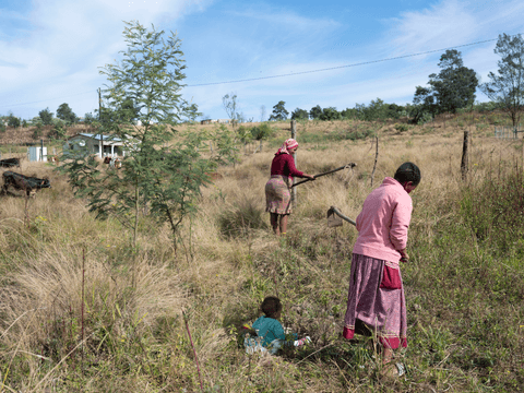 Nomakhosazana, Marlon, and his Aunt prepare to plan vegetables.