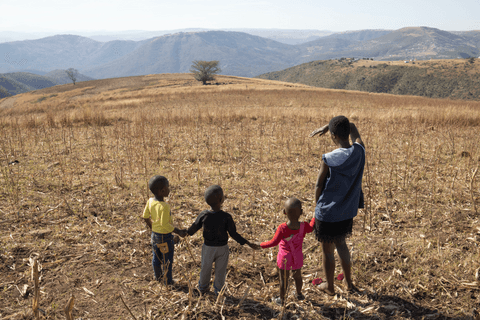 Bunam's Aunt Cepheni takes the children for a walk in a nearby field.
