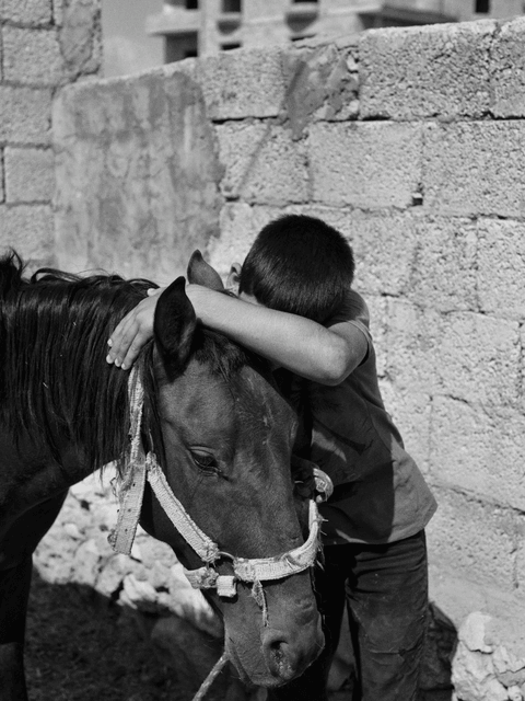 Ali, 14, tends to his horse in the backyard of the family home.